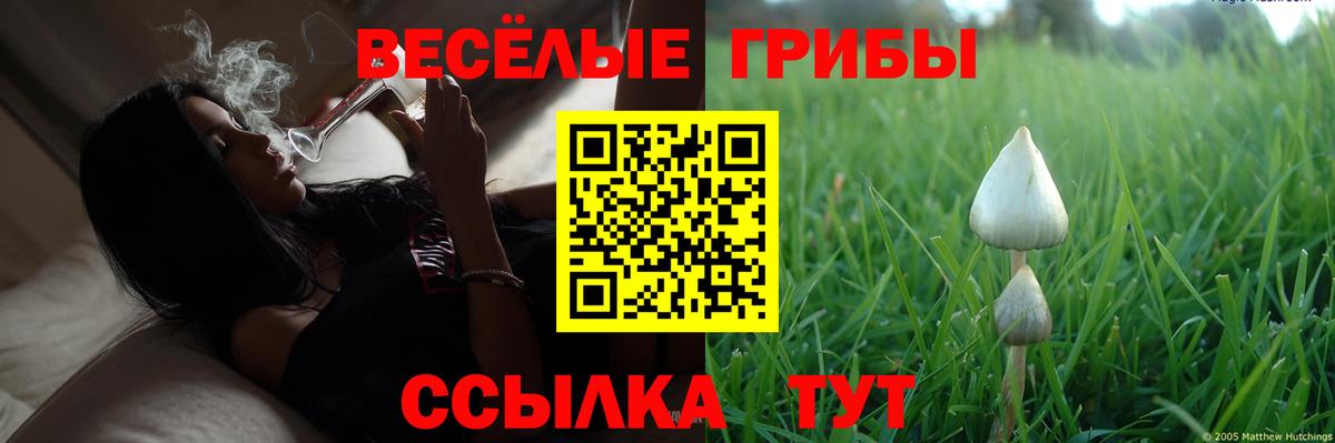 Галлюциногенные грибы Cubensis Березники